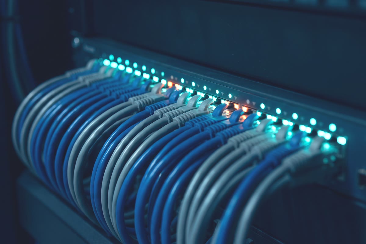 Patch cables running into a network switch, indicator lights lit